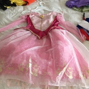 Disney theme park Princess Aurora dress.